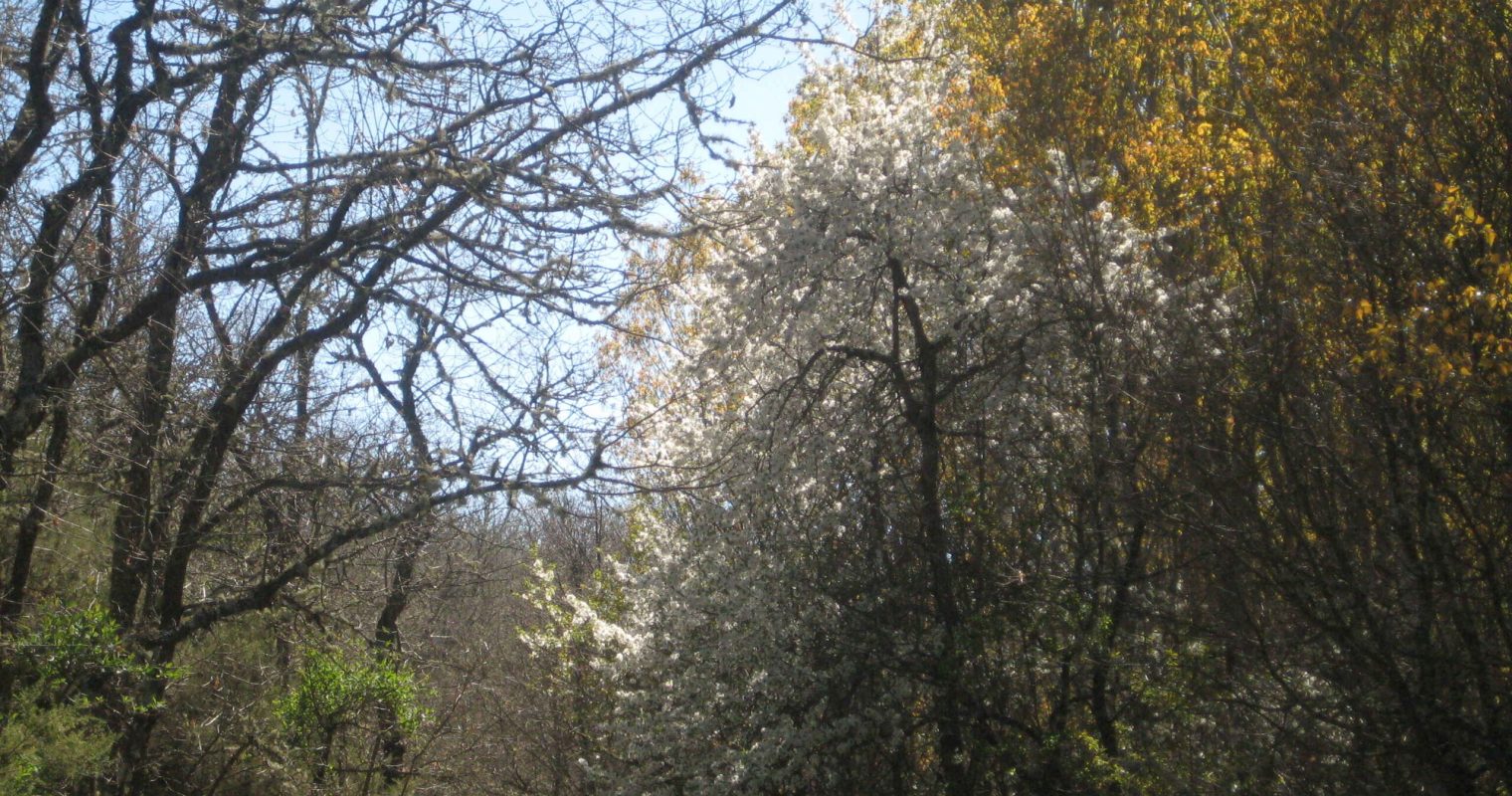 B95 (2)