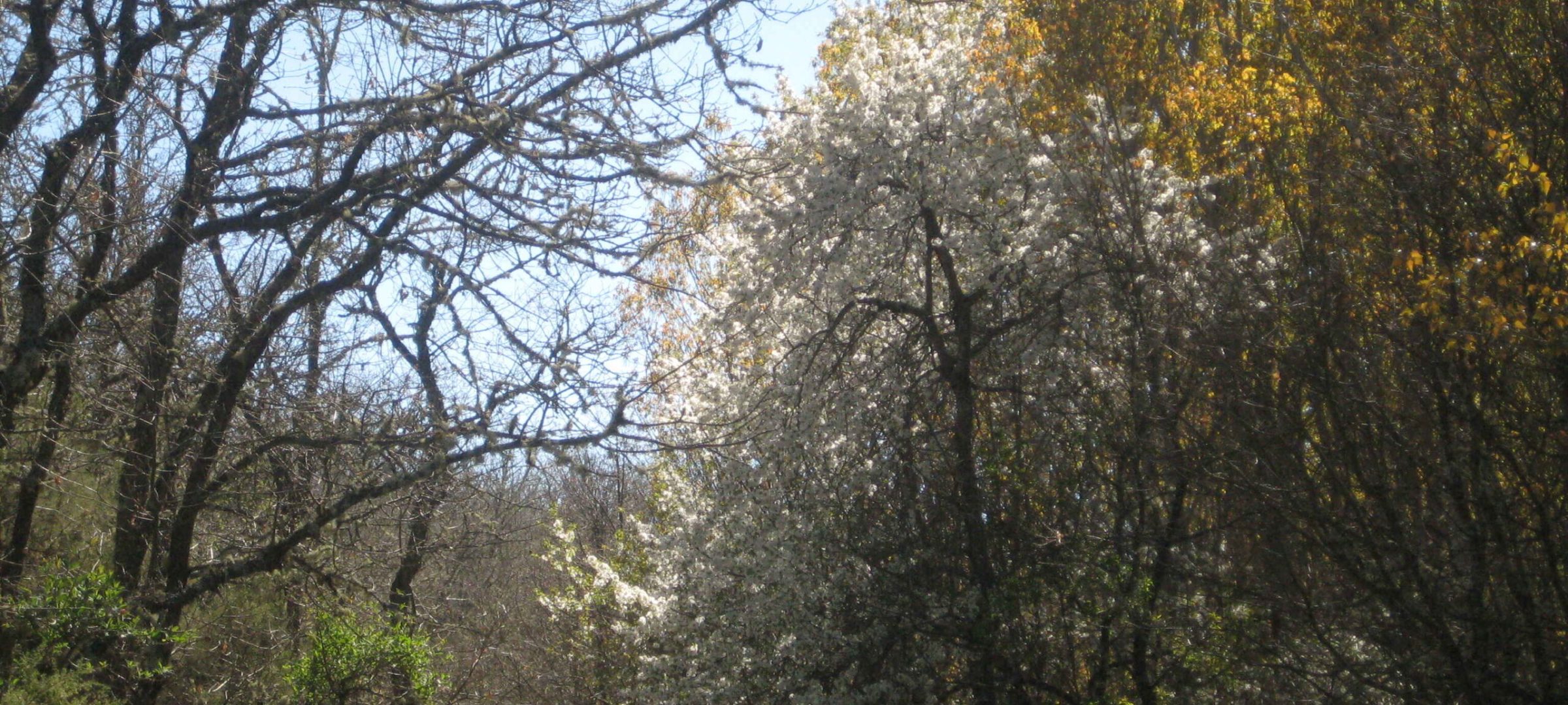 B95 (2)