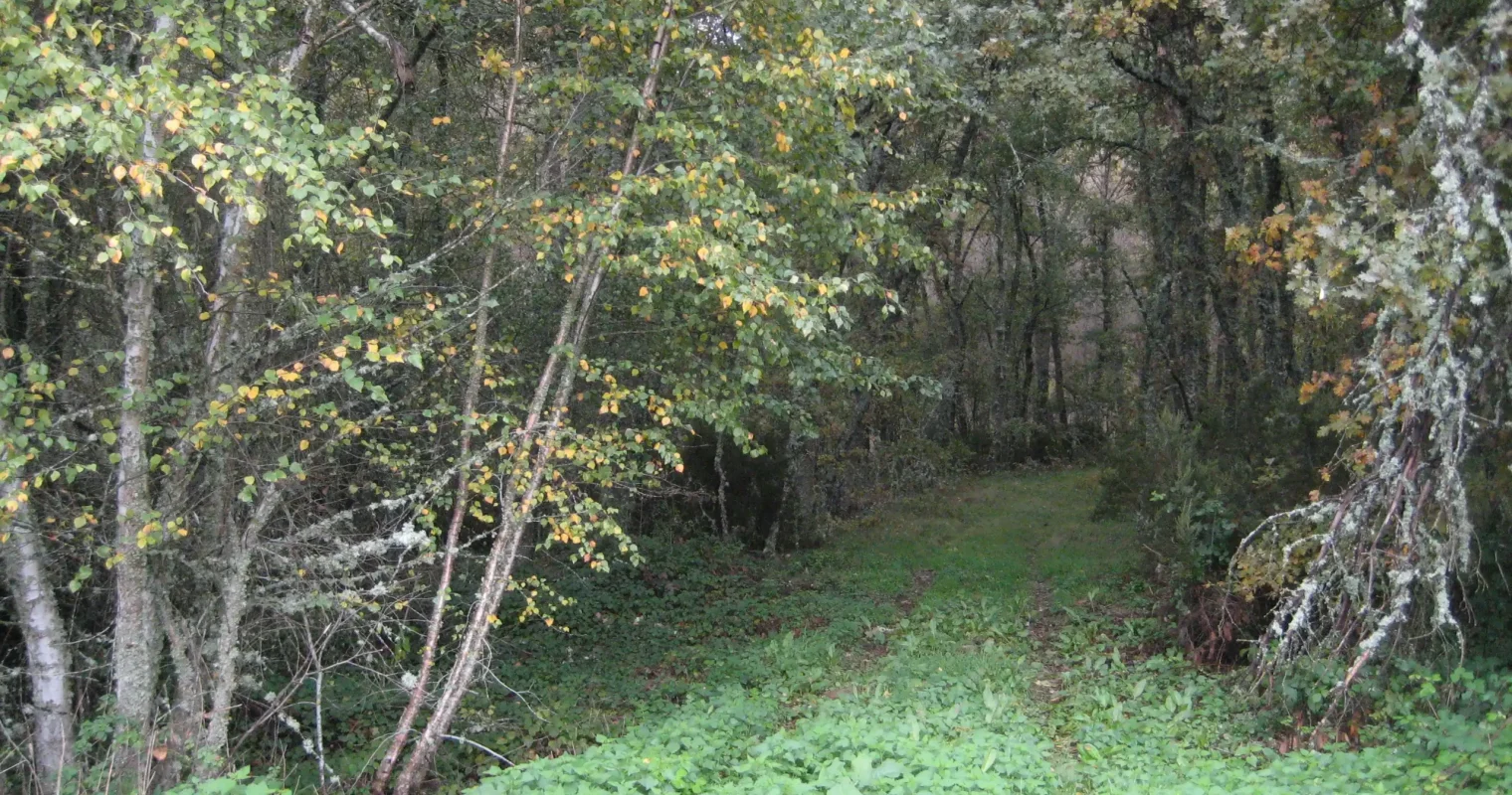 HR44