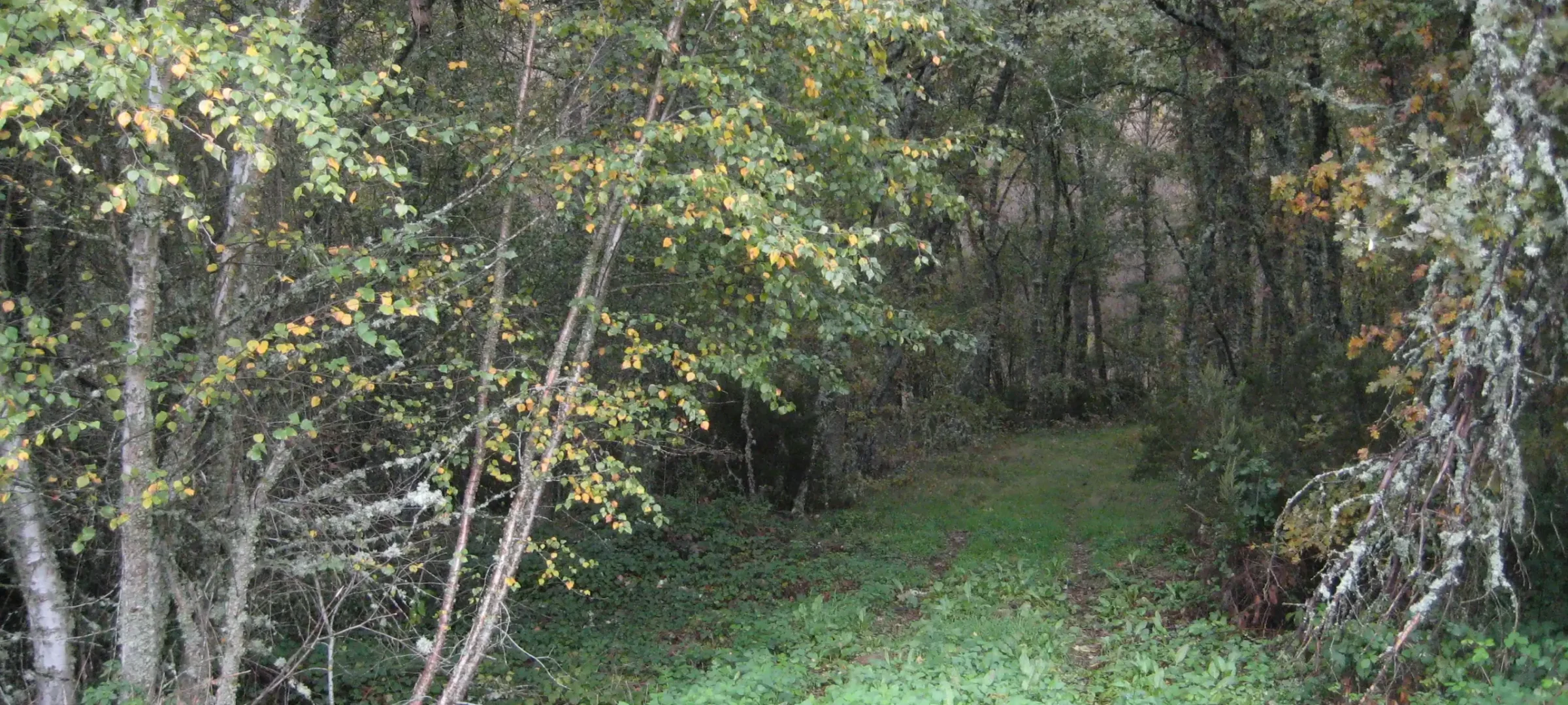 HR44