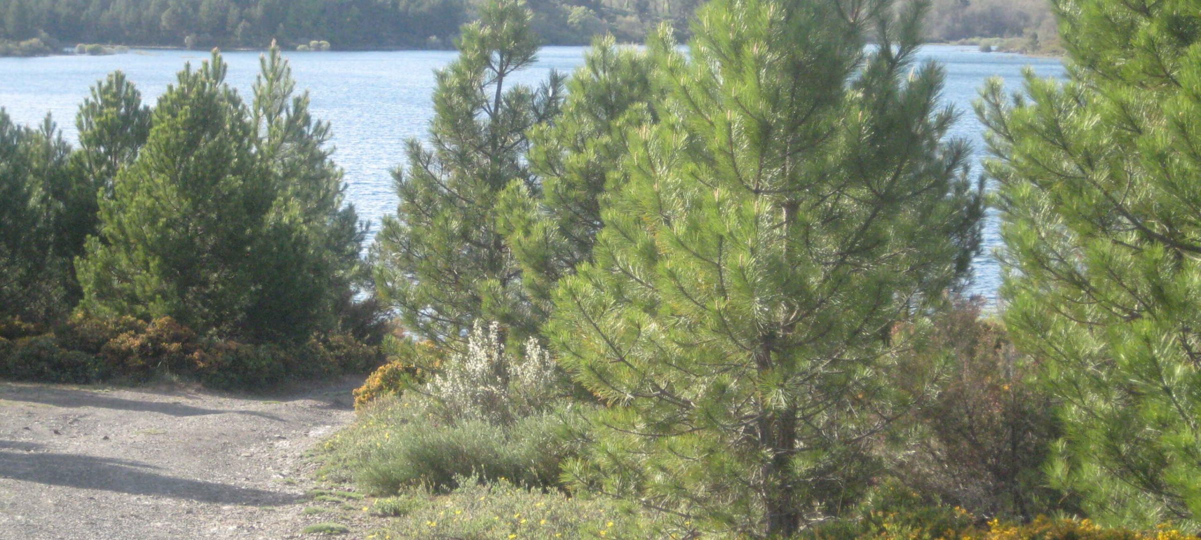 L9 (2)
