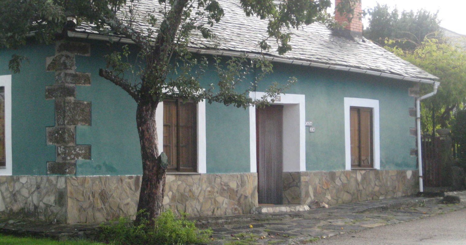 P20 (2)