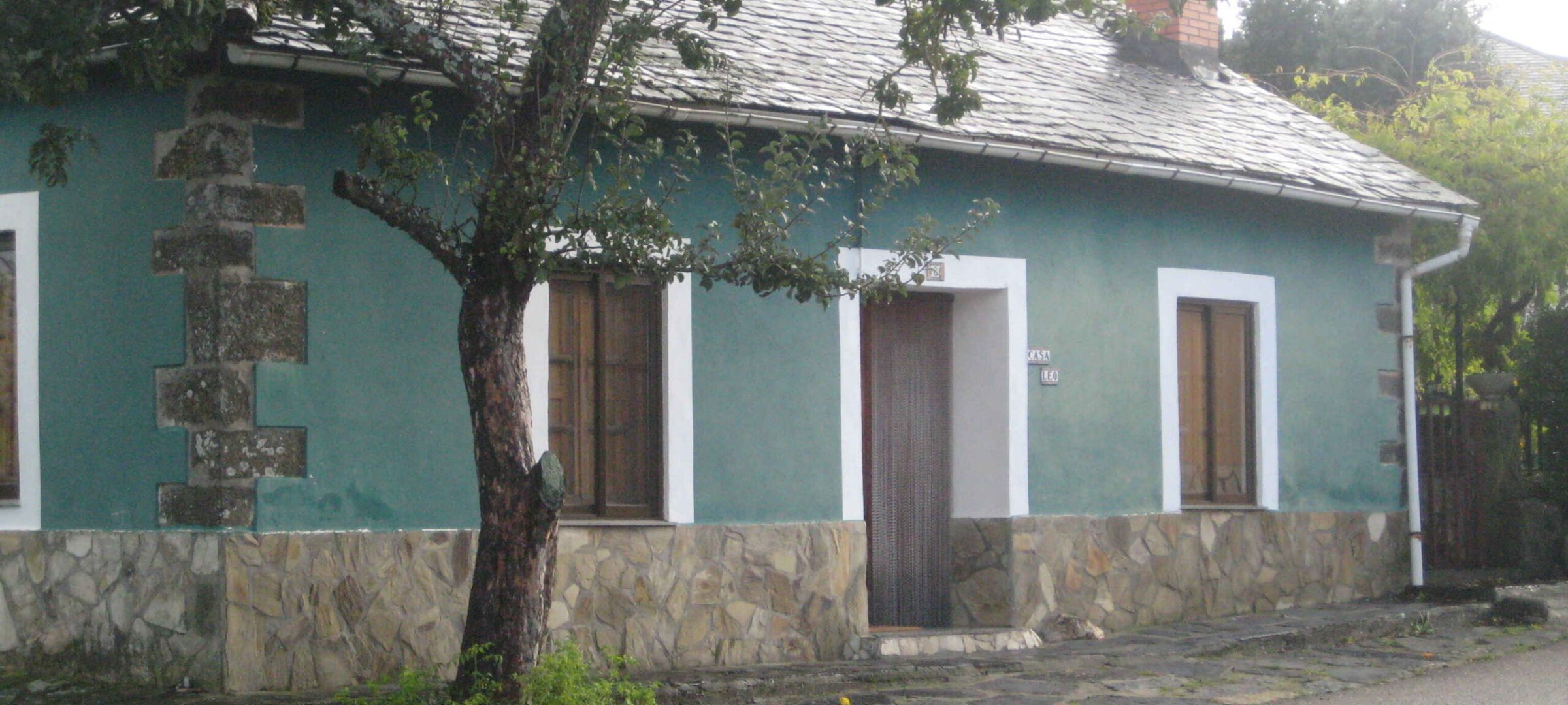 P20 (2)