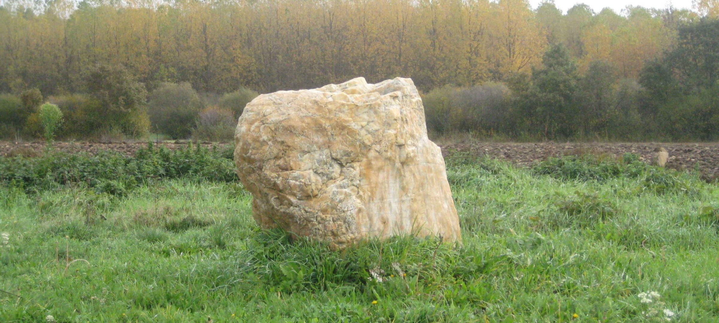 P21 (2)