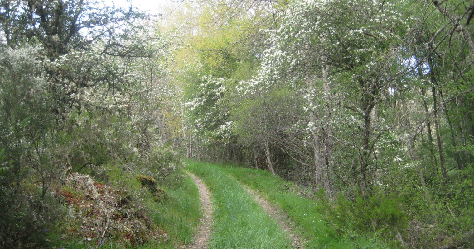 P23 (2)