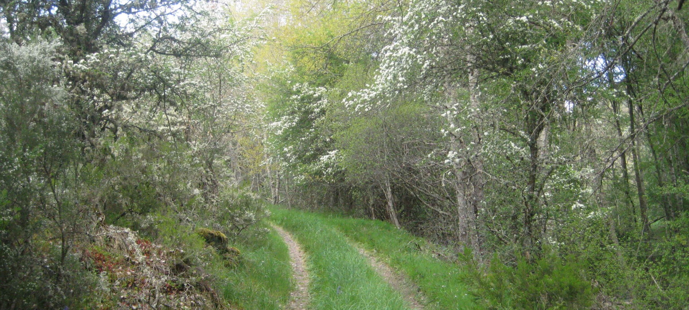P23 (2)