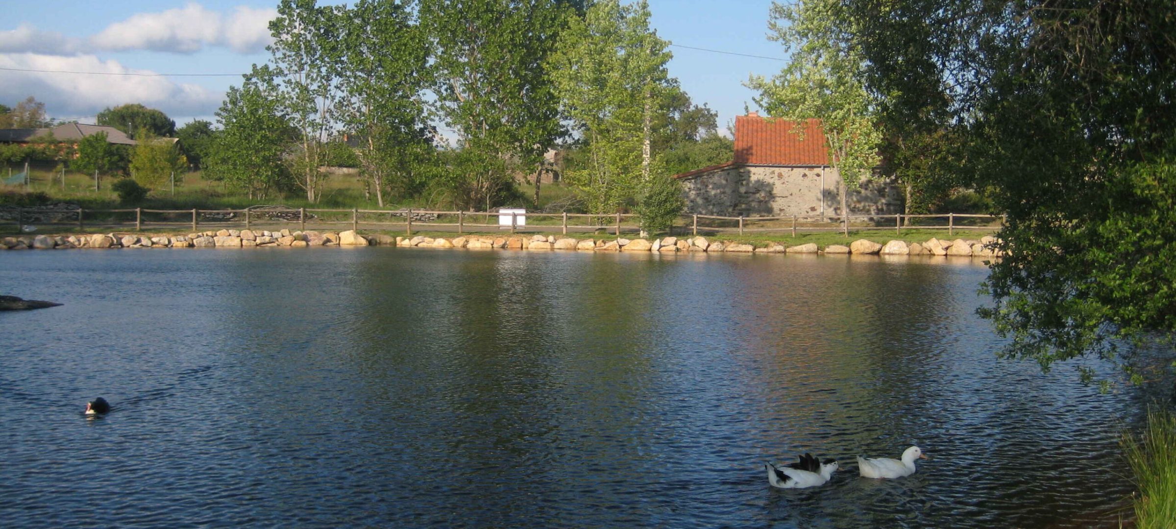 P48 (2)